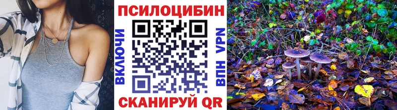 Купить где  Новый Оскол  Псилоцибиновые грибы GOLDEN TEACHER 
